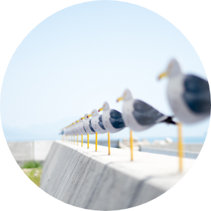 女木島 & 男木島